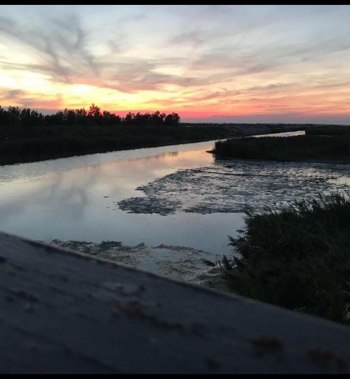 Agriturismo Ca' Pisani Porto Viro Eksteriør billede